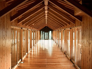 饰面型防火涂料应用于木结构